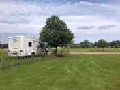 Grass pitches with electric hook-ups