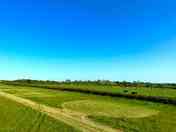 Grass pitches