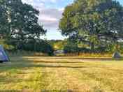 Visitor image - Lower and top fields