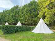 Tipis