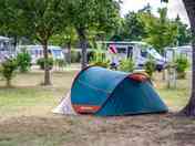Grass pitches