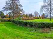 Lots of greenery