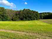 Grassy pitches