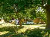 Pitches on site