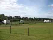View of the site