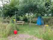 Woodland pitches are absolutely fantastic, providing privacy and shelter (and shade from the sun!) (added by anna_s310559 27 Jul 2021)