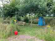 Woodland pitches are absolutely fantastic, providing privacy and shelter