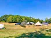 Camping field in summer