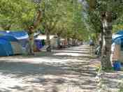 Pitches under the trees