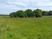 Green countryside