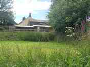 Foxglove Tent pitch