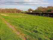 Camping field