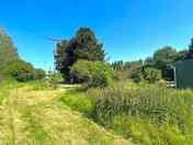 Grassy pitches