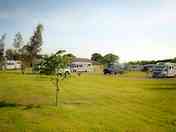 Grass pitch with electric