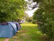 Grassy pitches with trees for shade