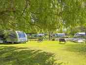 Sunny and shaded pitches