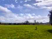 The camping meadow