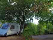 Pitches under the trees