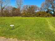 2nd Meadow