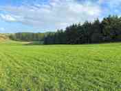 Camping field