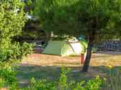 Pitches among the trees