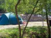 Tent under the trees