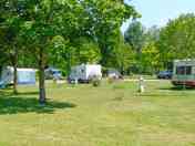 Pitches surrounded by trees