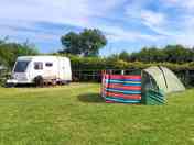 Pitches sheltered by hedges