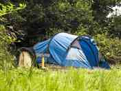 Tent pitch among the trees (added by manager 19 Jan 2021)