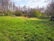 Pitch by the pond