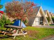 Picnic table near the pitches