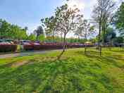 Grass pitches