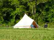 Bell tent on the grass