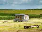 Tamar shepherd's hut