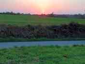 Grass pitches at sunset