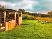 The Cabin
