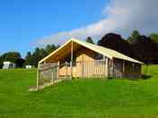 Safari tent