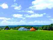 Grass pitches