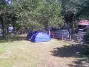 Tent pitch