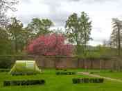 Walled Garden pitches