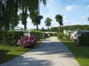 Well-kept grass pitches