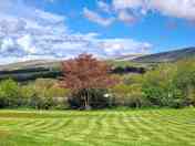 Dart Field