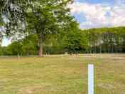 Grass pitch