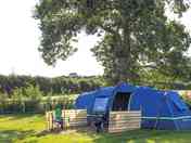 Grass pitches