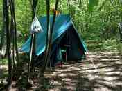 small tent on small woodland pitch (added by manager 22 Mar 2014)