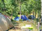 Pitches among the trees