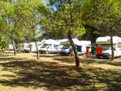 Pitches under the trees