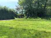 Sycamore Campervan pitch