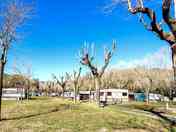 Plots in Winter