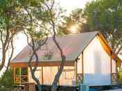 Forest Lodge